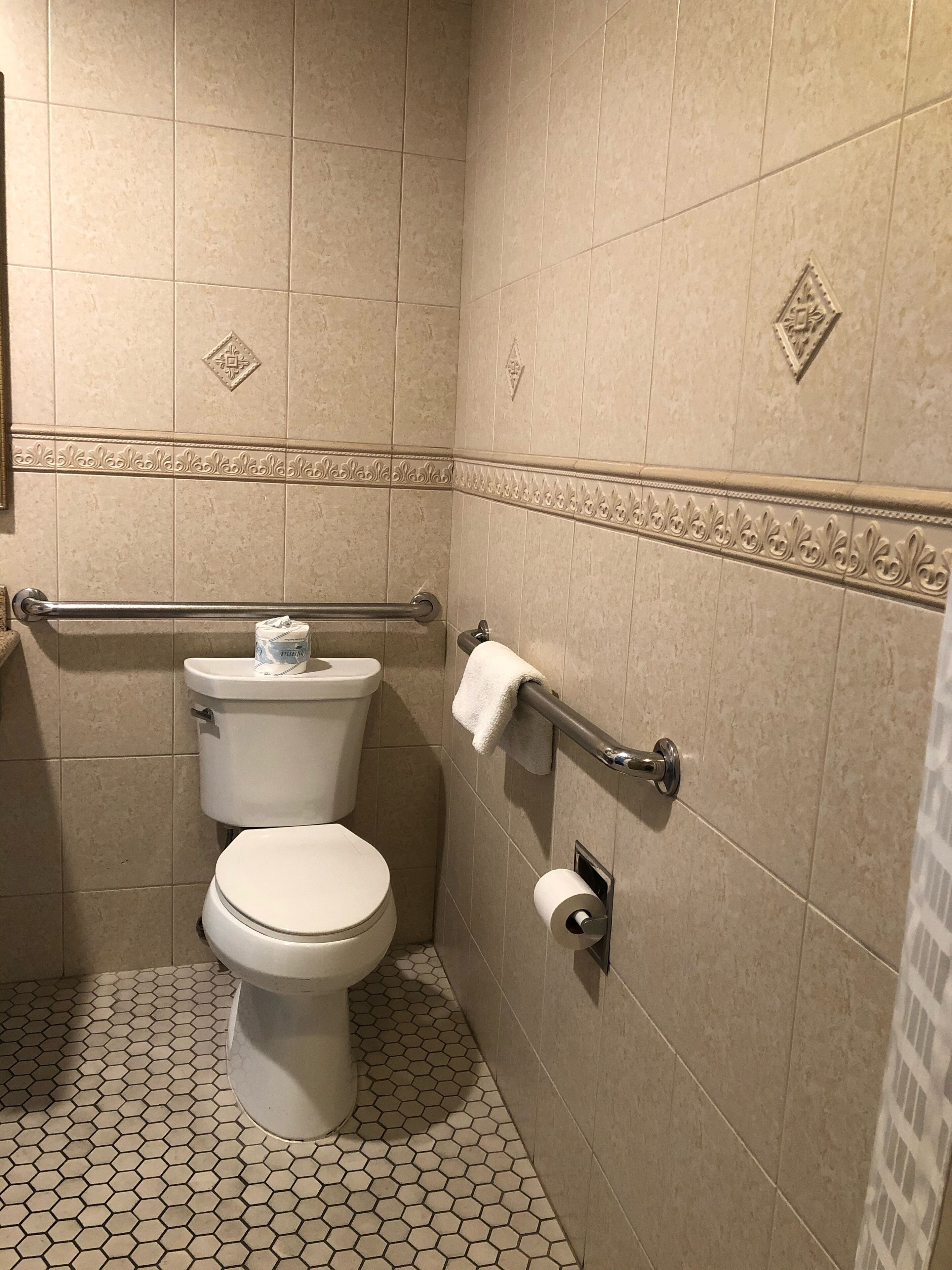 A bathroom with a toilet, a handrail, and a towel rack.