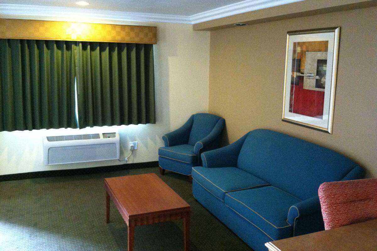 A living room with a blue sofa, a wooden coffee table, and a blue armchair. There is a window with green curtains and a framed picture on the wall.