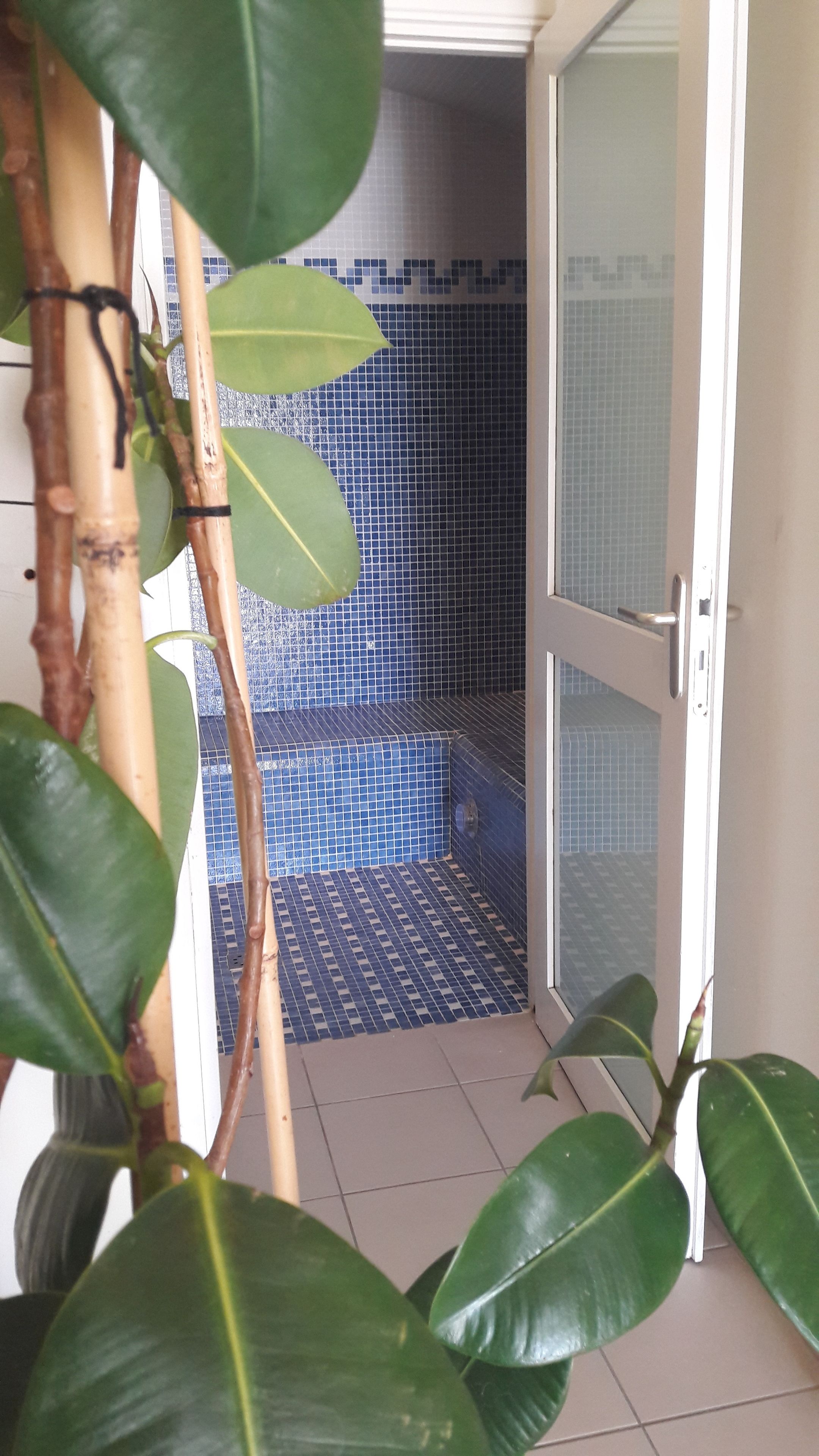 turkish bath/hammam, body treatments, aromatherapy, massages