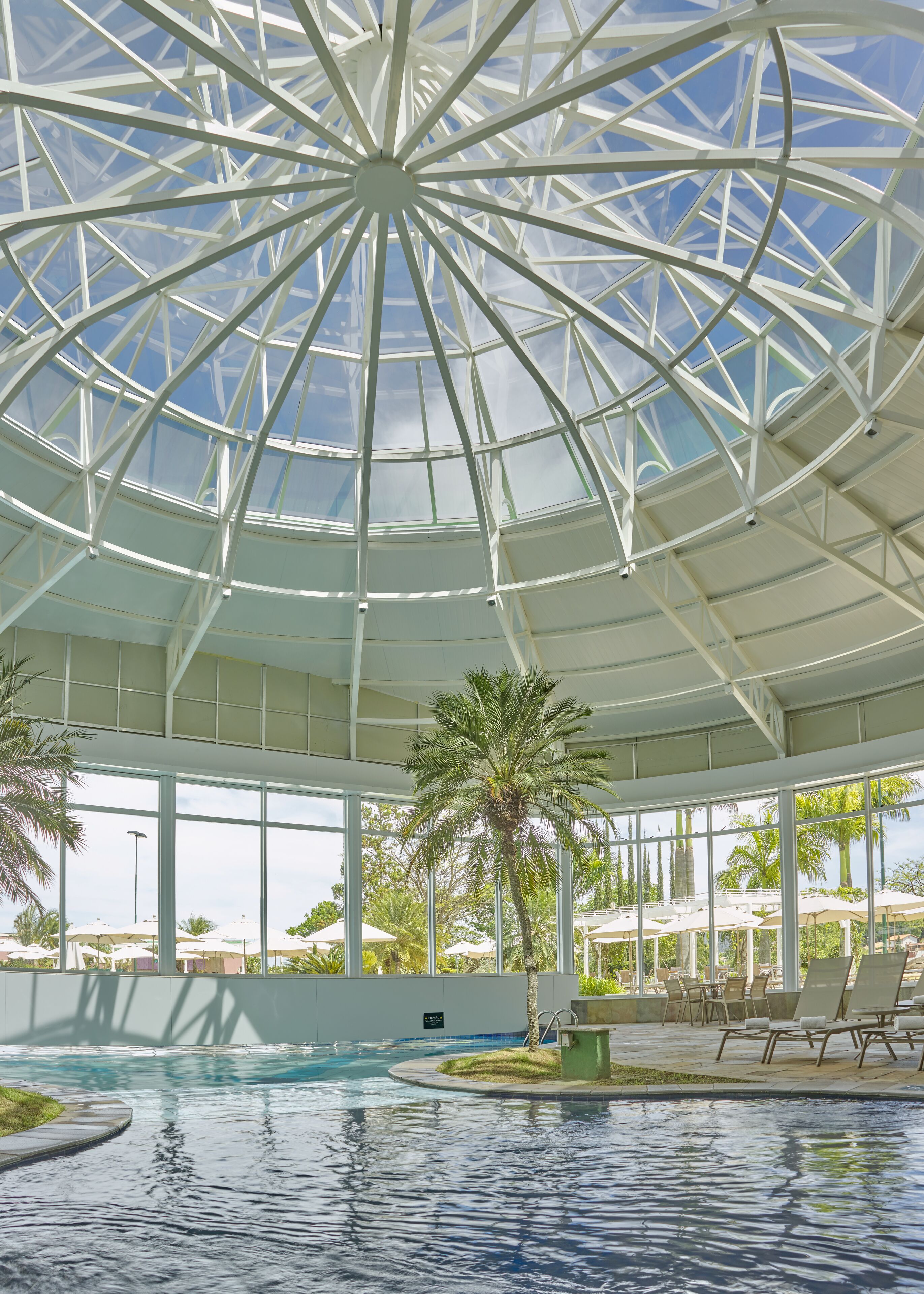 A modern indoor pool area with a glass ceiling, palm trees, and lounge chairs.