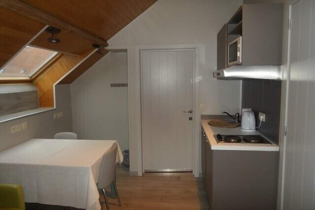 Comfort Triple Room | Private kitchenette | Microwave