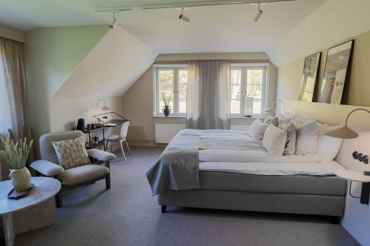 Habitación de hotel moderna con una cama grande, un escritorio y una silla. Cuenta con una ventana con cortinas, una planta en una mesita auxiliar y una obra de arte en la pared.