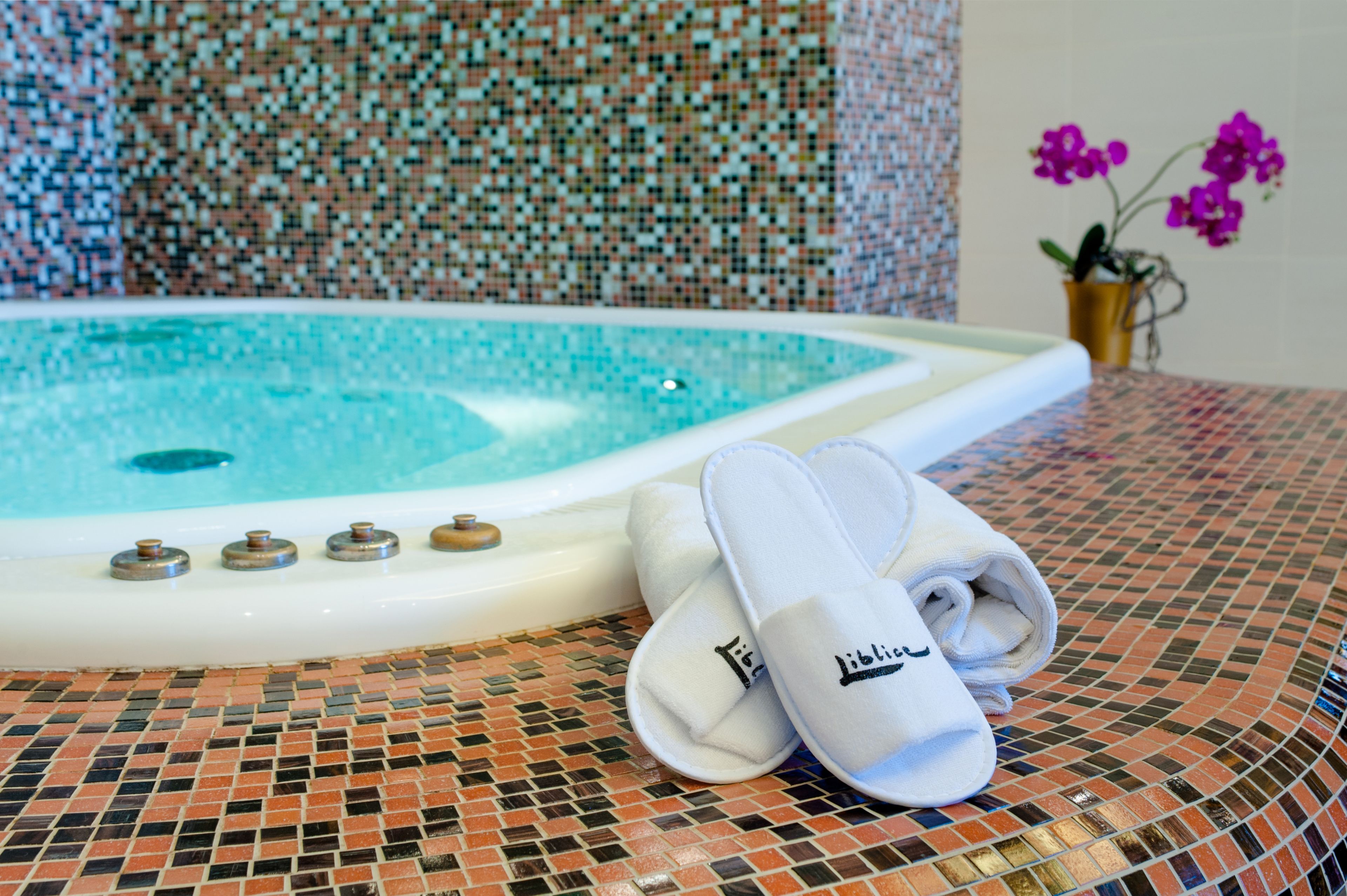 couples treatment room(s)