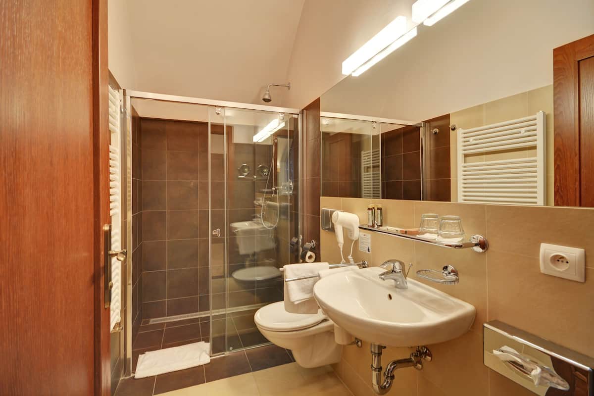 shower, free toiletries, hair dryer, towels