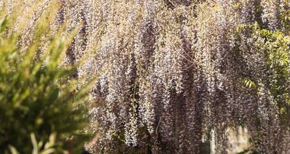 Logis Hotel les Cimes