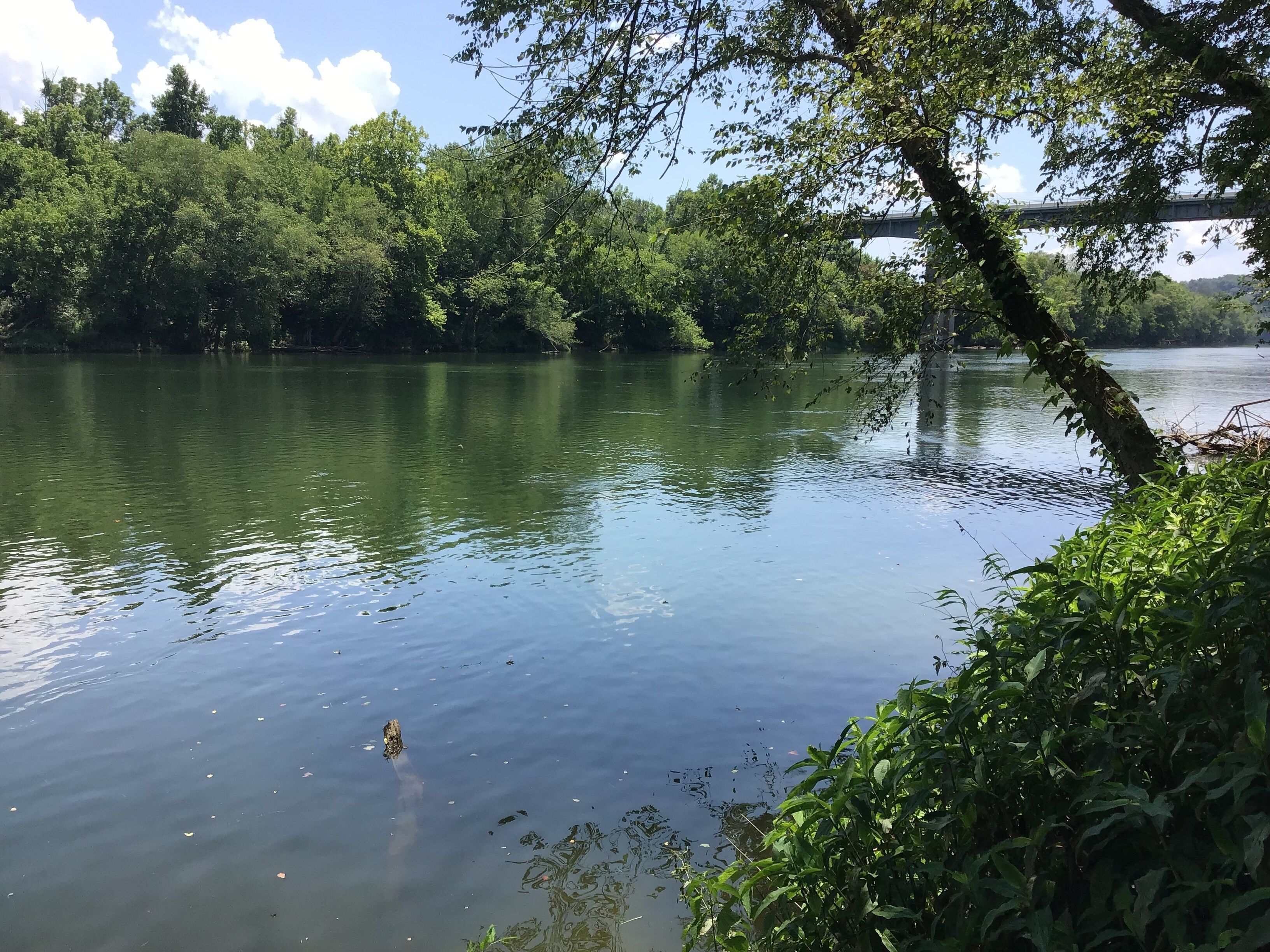 Une rivière paisible, bordée d’une végétation luxuriante, avec un pont en arrière-plan.