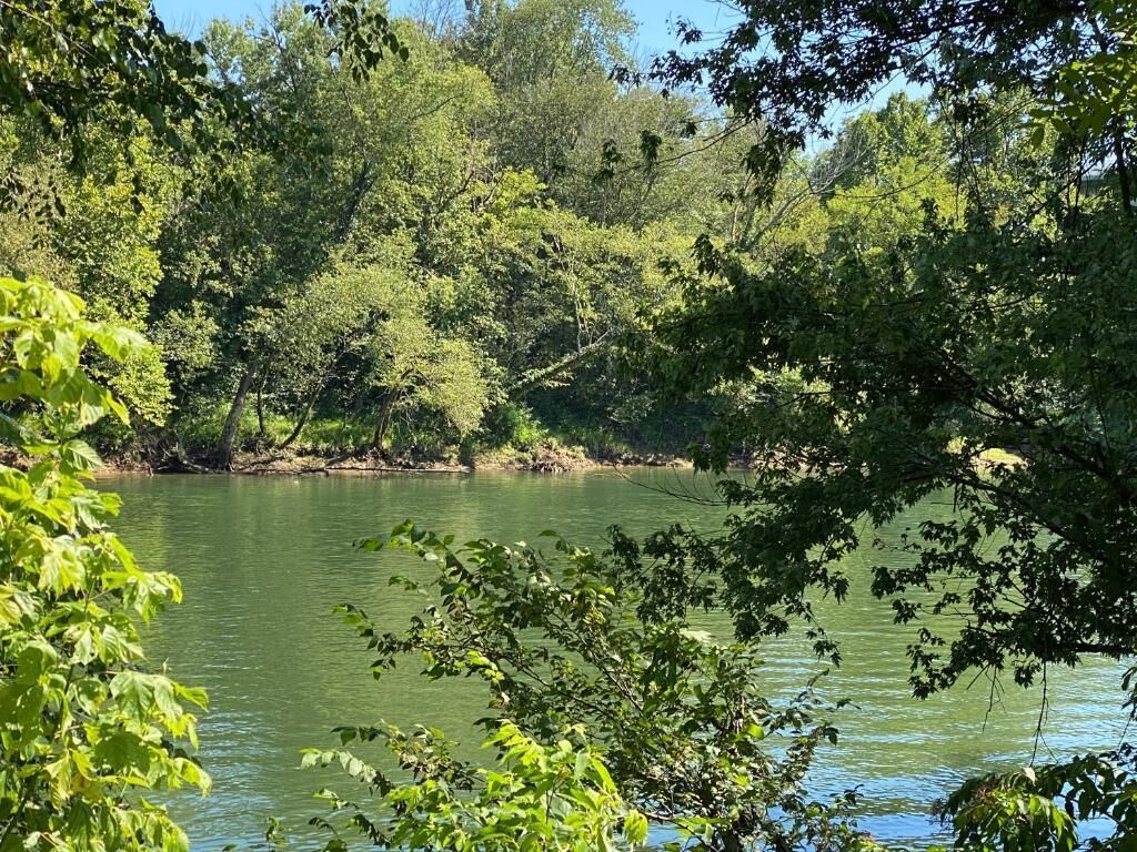 A natural landscape with a body of water surrounded by dense foliage.