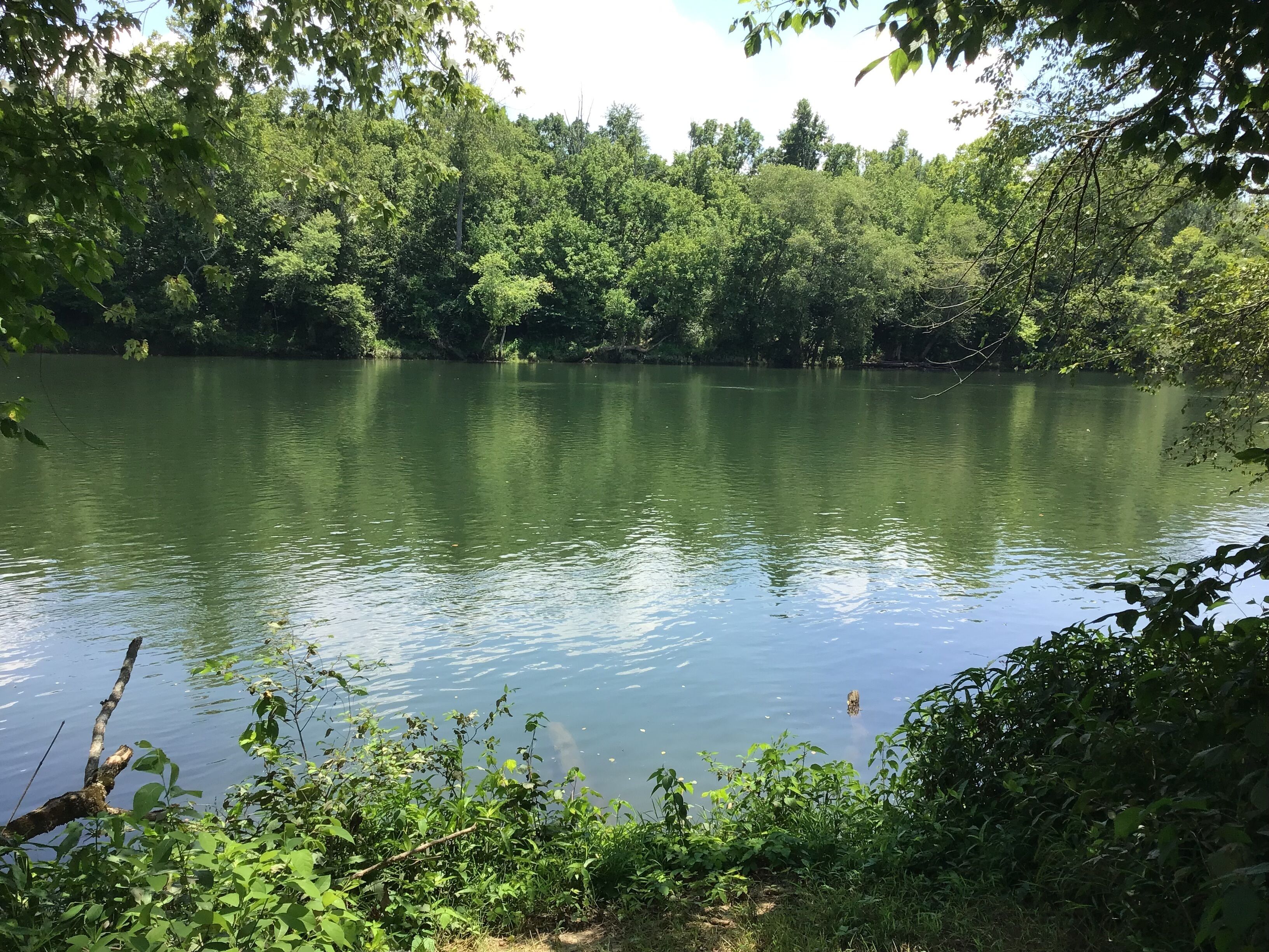 Un lago tranquilo rodeado de densa vegetación.