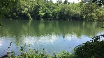 Un lago tranquilo rodeado de densa vegetación.