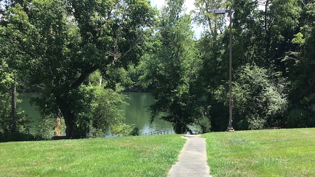 A concrete pathway leading to a body of water, surrounded by lush green trees and grass. - Riverfront Lodge (Burkesville)