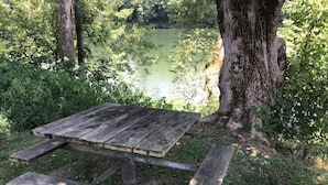 A rustic picnic table surrounded by lush greenery and a calm body of water. - Riverfront Lodge (Burkesville)