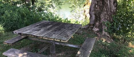 Una mesa de picnic rústica rodeada de abundante vegetación y un cuerpo de agua tranquilo.