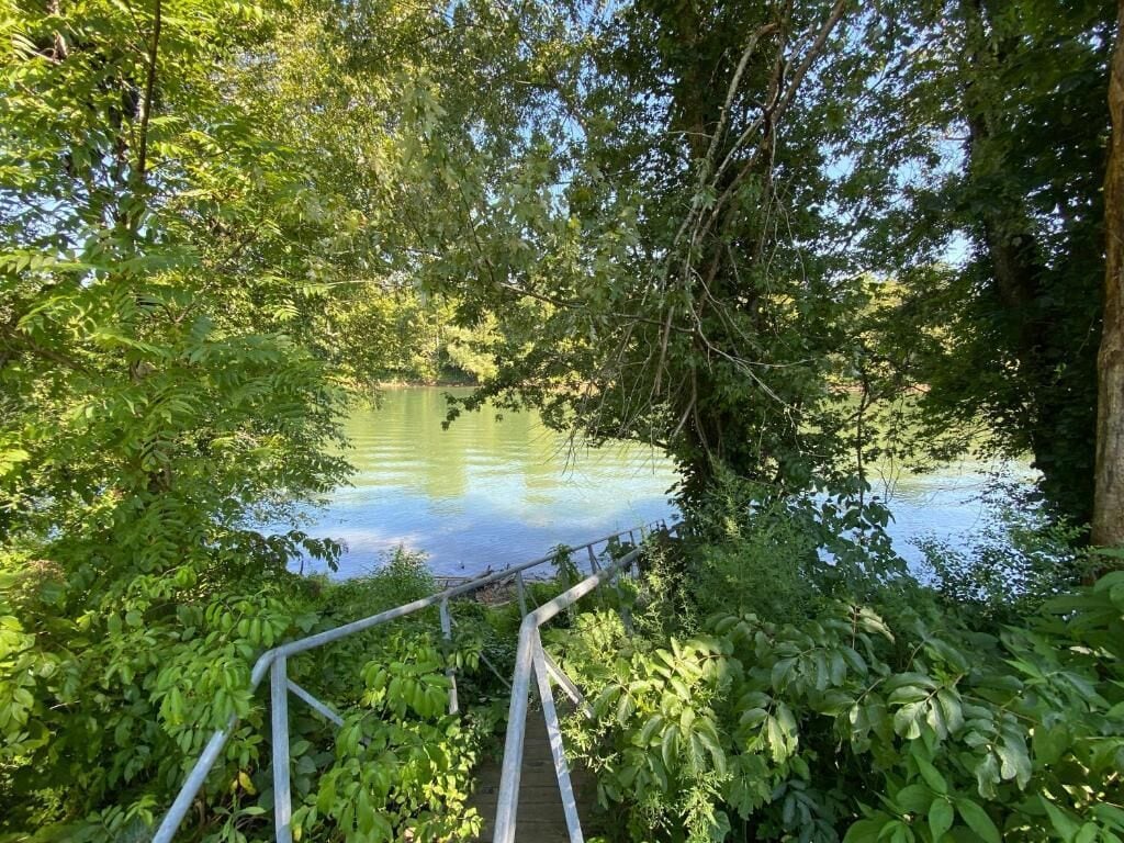 A wooden pathway leading to a body of water surrounded by dense foliage.