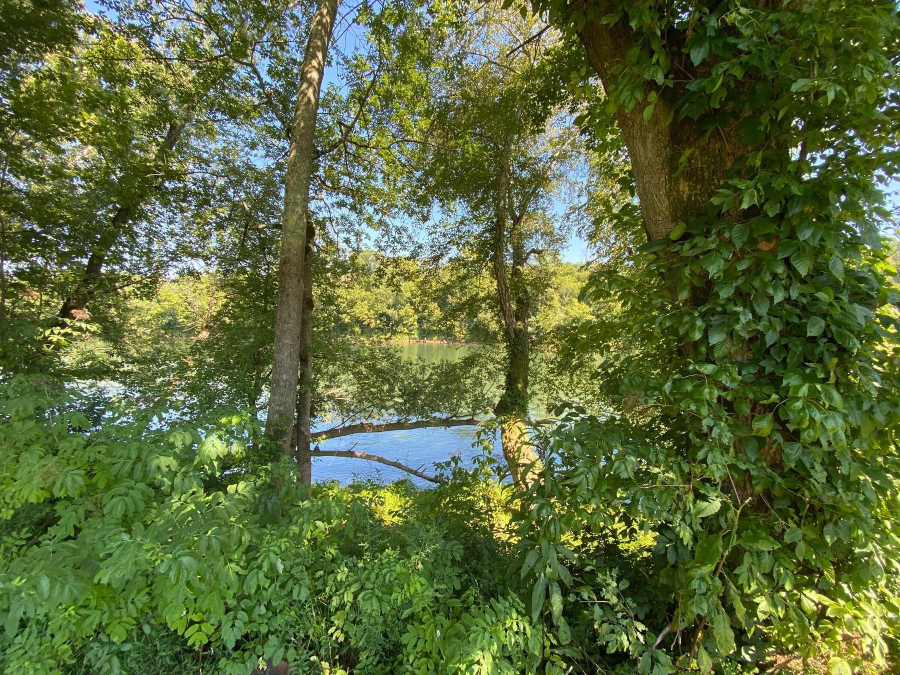 บริเวณที่พัก