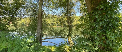 Un cadre paisible au bord d’un lac, avec une végétation luxuriante et de nombreux arbres.