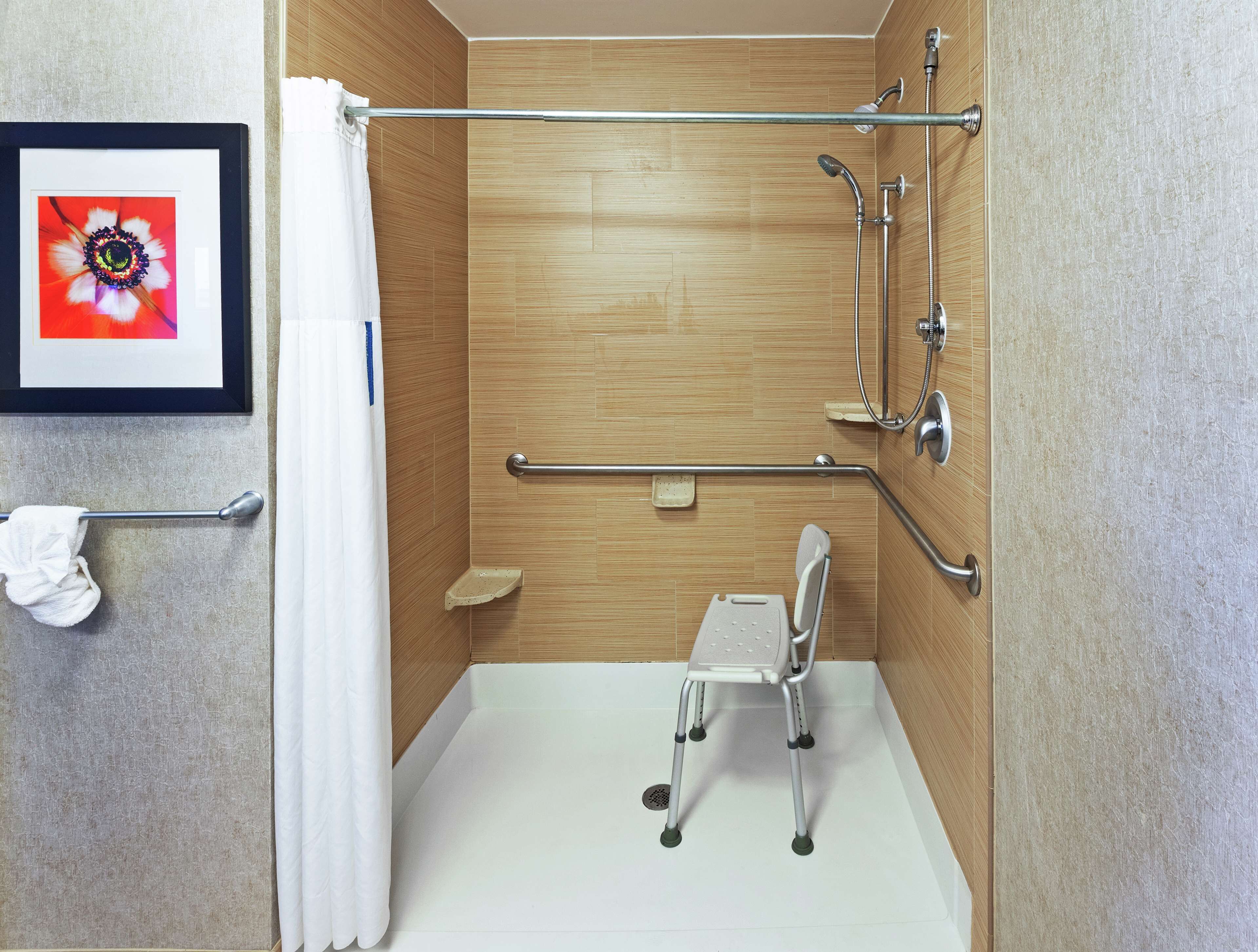 studio, 1 king bed, accessible, non smoking | bathroom shower