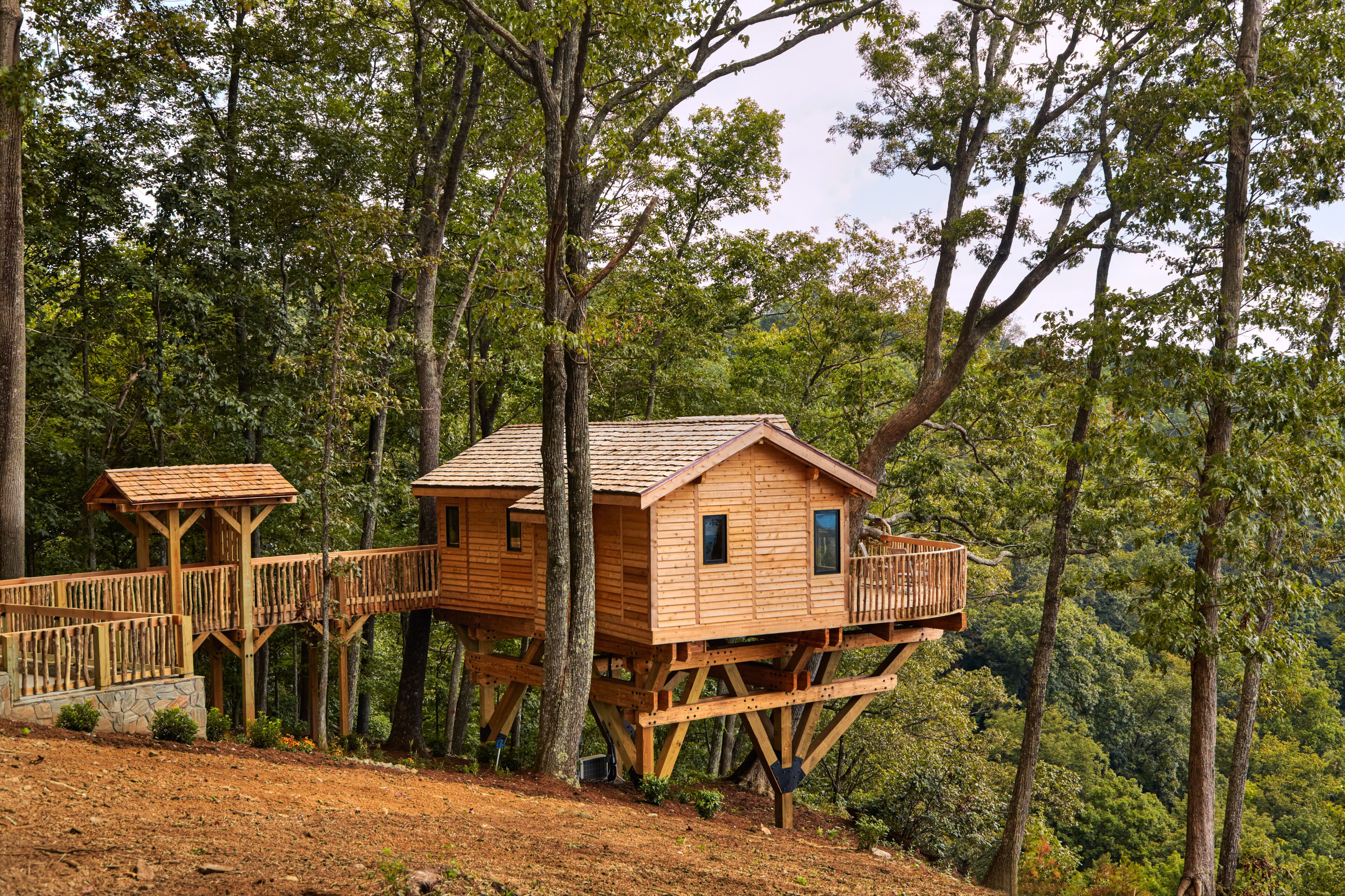 Una casa del árbol de madera con un balcón y una cabaña separada, rodeada de un bosque denso.