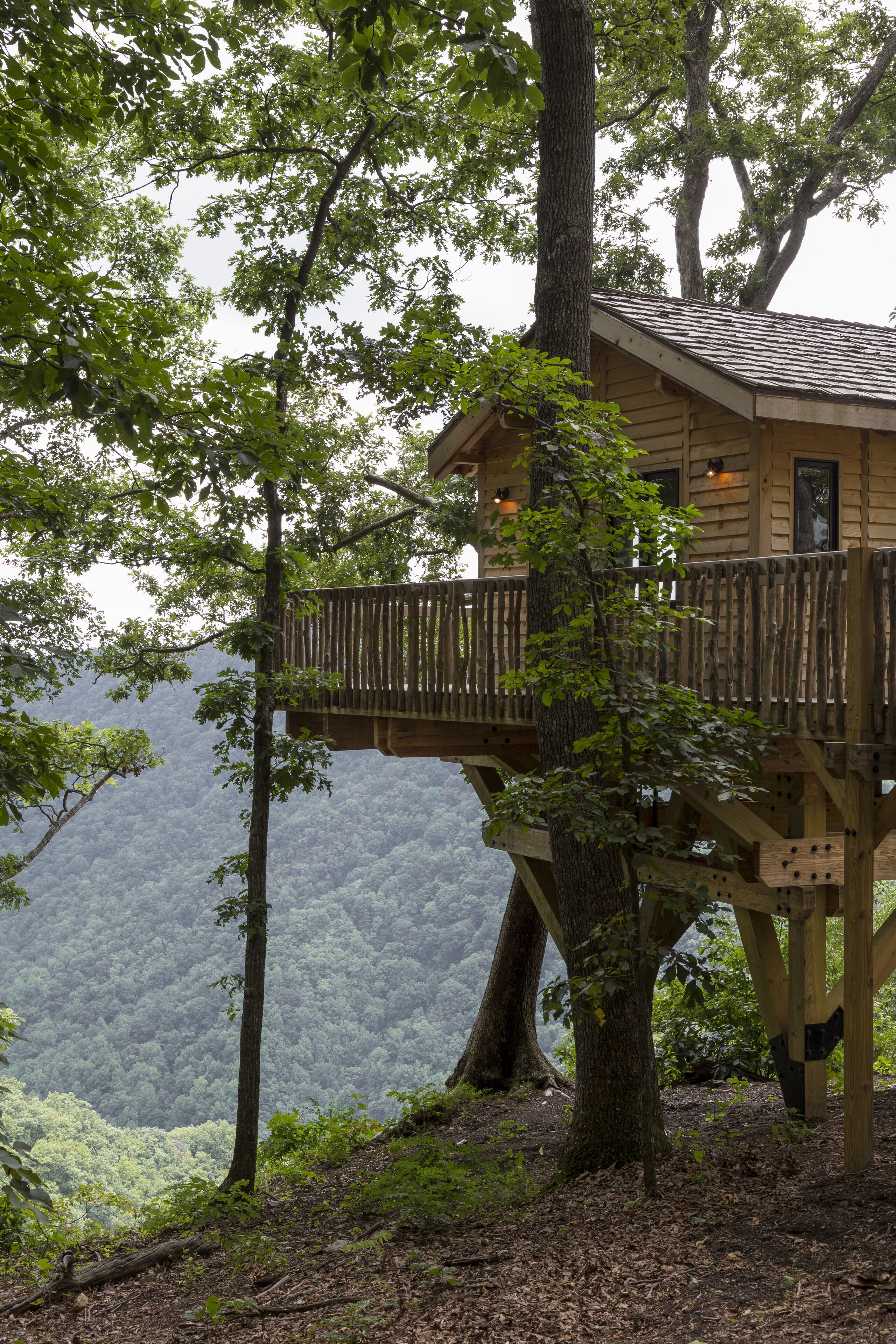 A treehouse with a wooden deck and a small building structure, surrounded by dense forest.