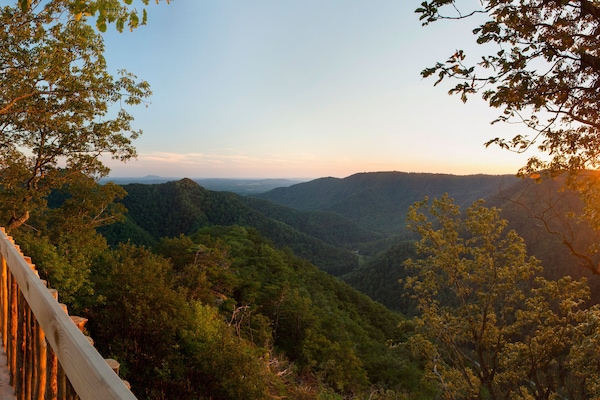 Tree House, 1 King Bed (Cooper's Hawk, Adults Only) | View from room