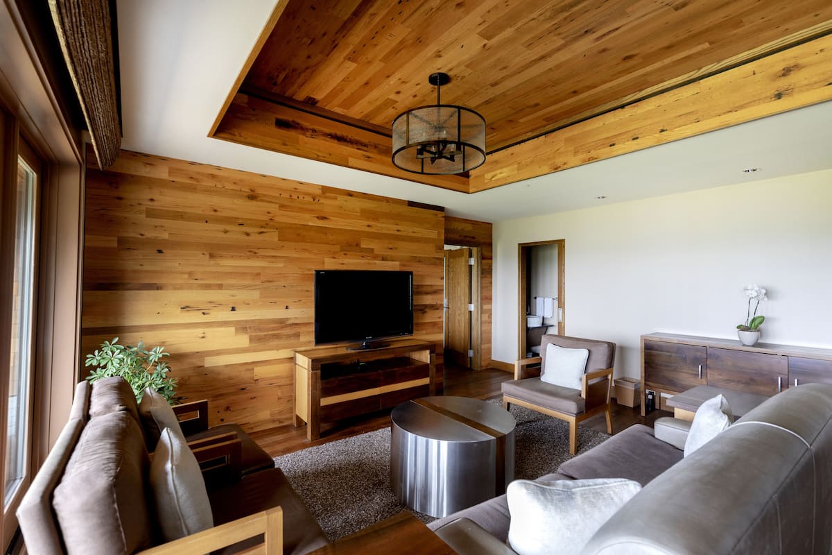 A modern living room with wooden walls, a flat-screen TV, a grey sofa, a coffee table, and a wooden cabinet.