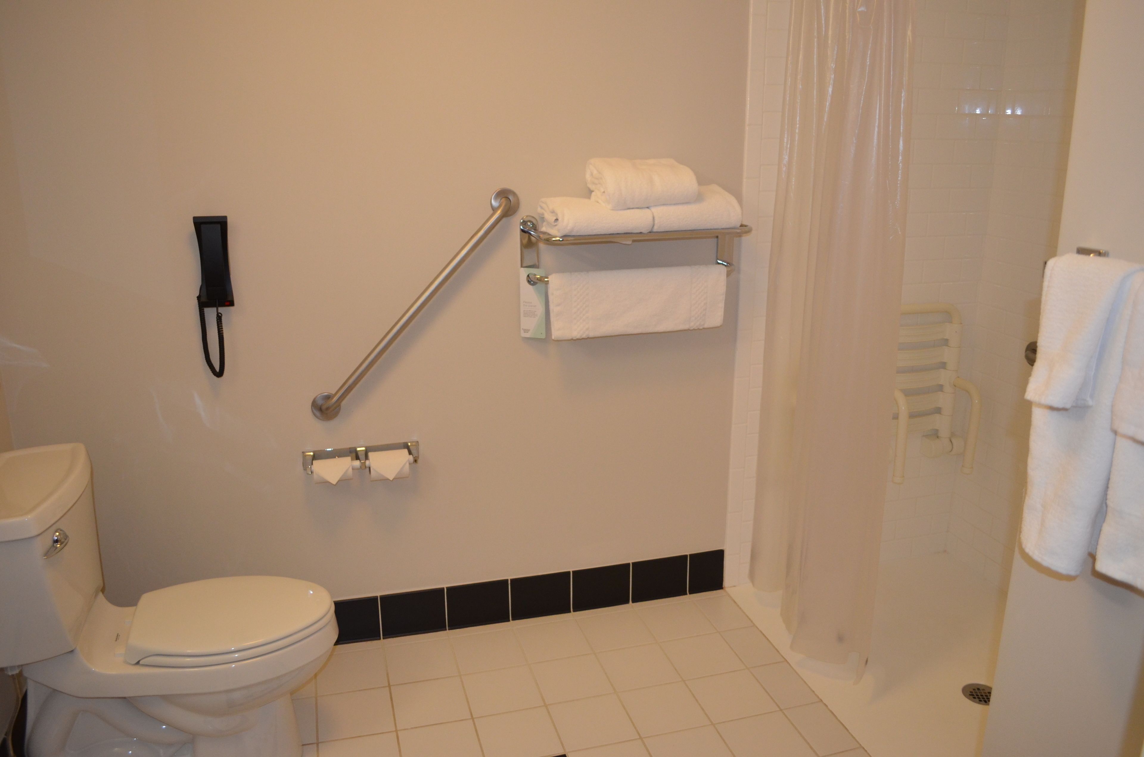 combined shower/bathtub, free toiletries, hair dryer, towels