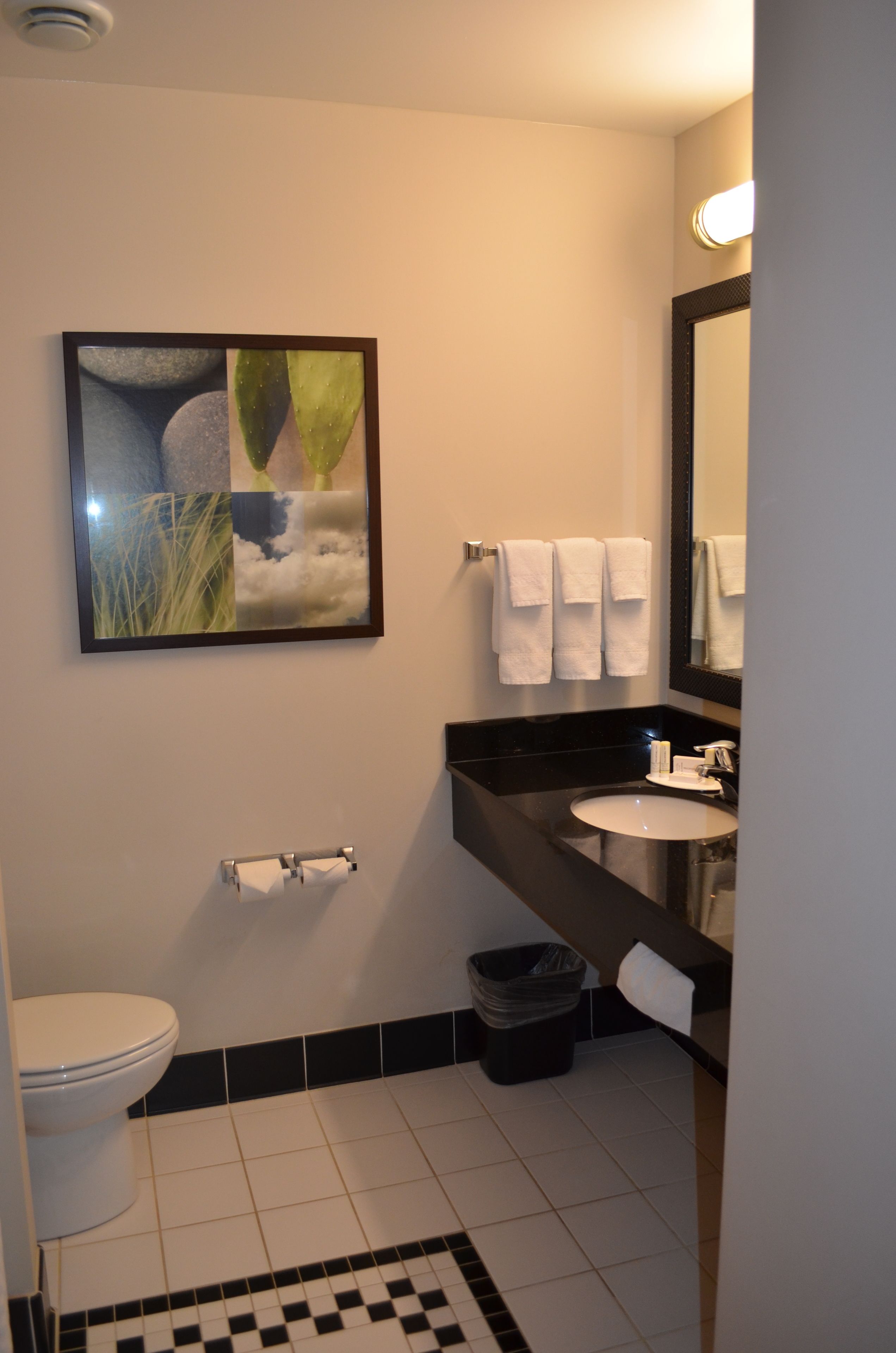 room, 1 king bed, non smoking | bathroom | combined shower/bathtub, free toiletries, hair dryer, towels