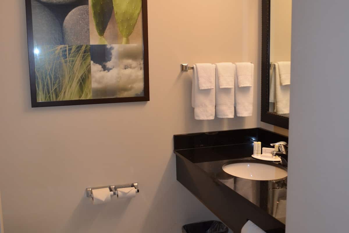 room, 1 king bed, non smoking | bathroom | combined shower/bathtub, free toiletries, hair dryer, towels