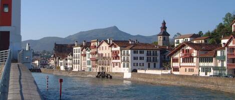 A riverside town with historic buildings, a prominent church tower, and a mountain in the background.