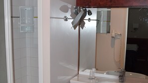 A bathroom with a shower, sink, and mirror. - Hotel La Vraine (Gironcourt-sur-Vraine)