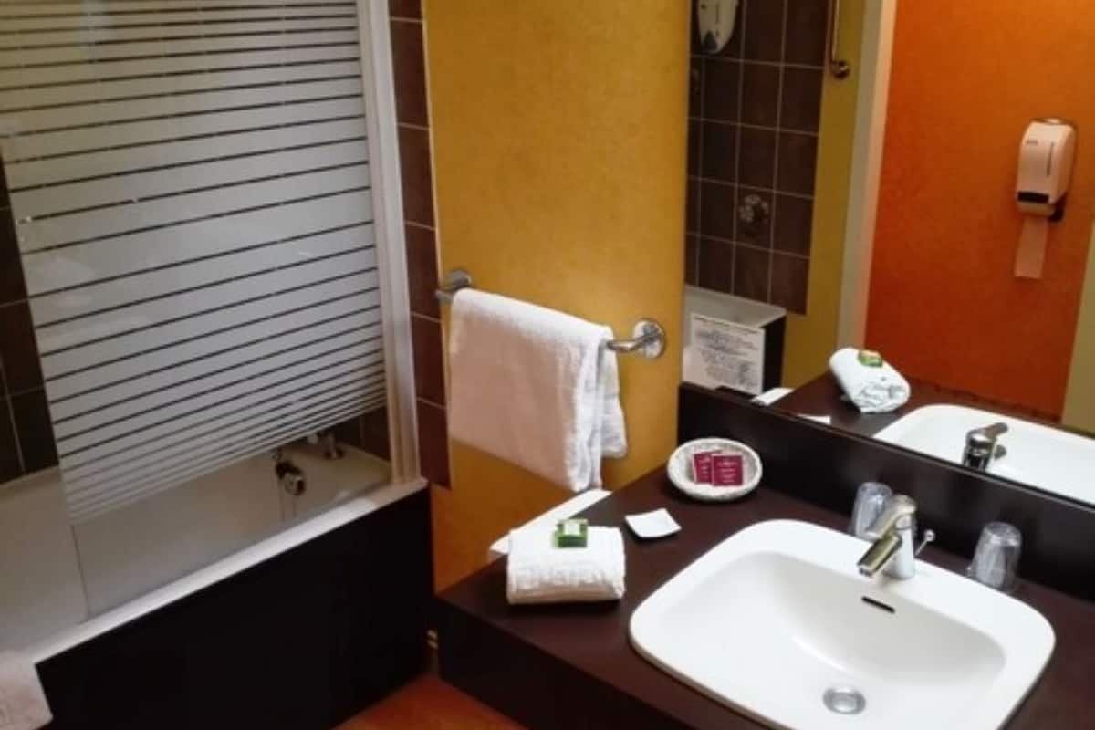 combined shower/bathtub, free toiletries, hair dryer, towels