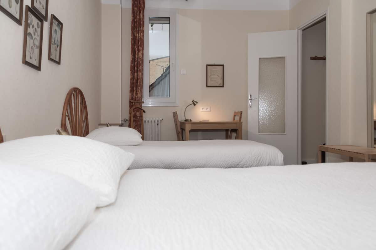 Chambre Standard avec lits jumeaux | Minibar, bureau, fer et planche Ă repasser, Wi-Fi gratuit
