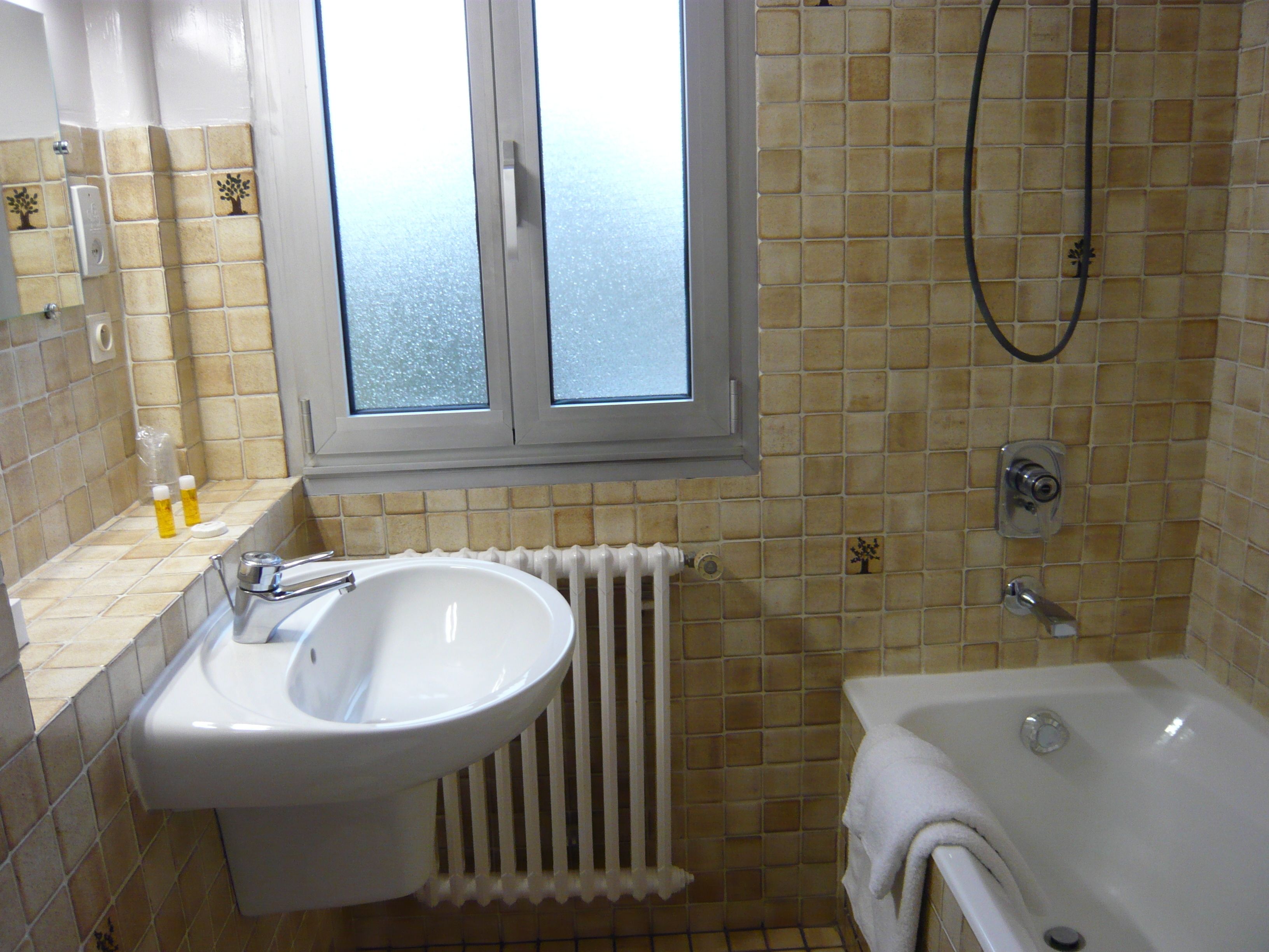 towels, soap, shampoo, toilet paper