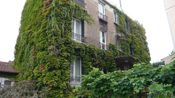 A building covered in green ivy. - Citotel Aero Hotel (Le Blanc-Mesnil)