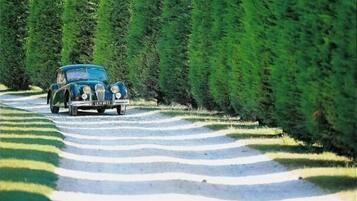 A vintage car driving on a road flanked by neatly trimmed hedges.