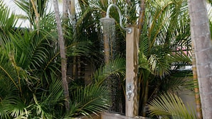 Un pommeau de douche laissant couler l’eau, entouré de luxuriants palmiers verdoyants.