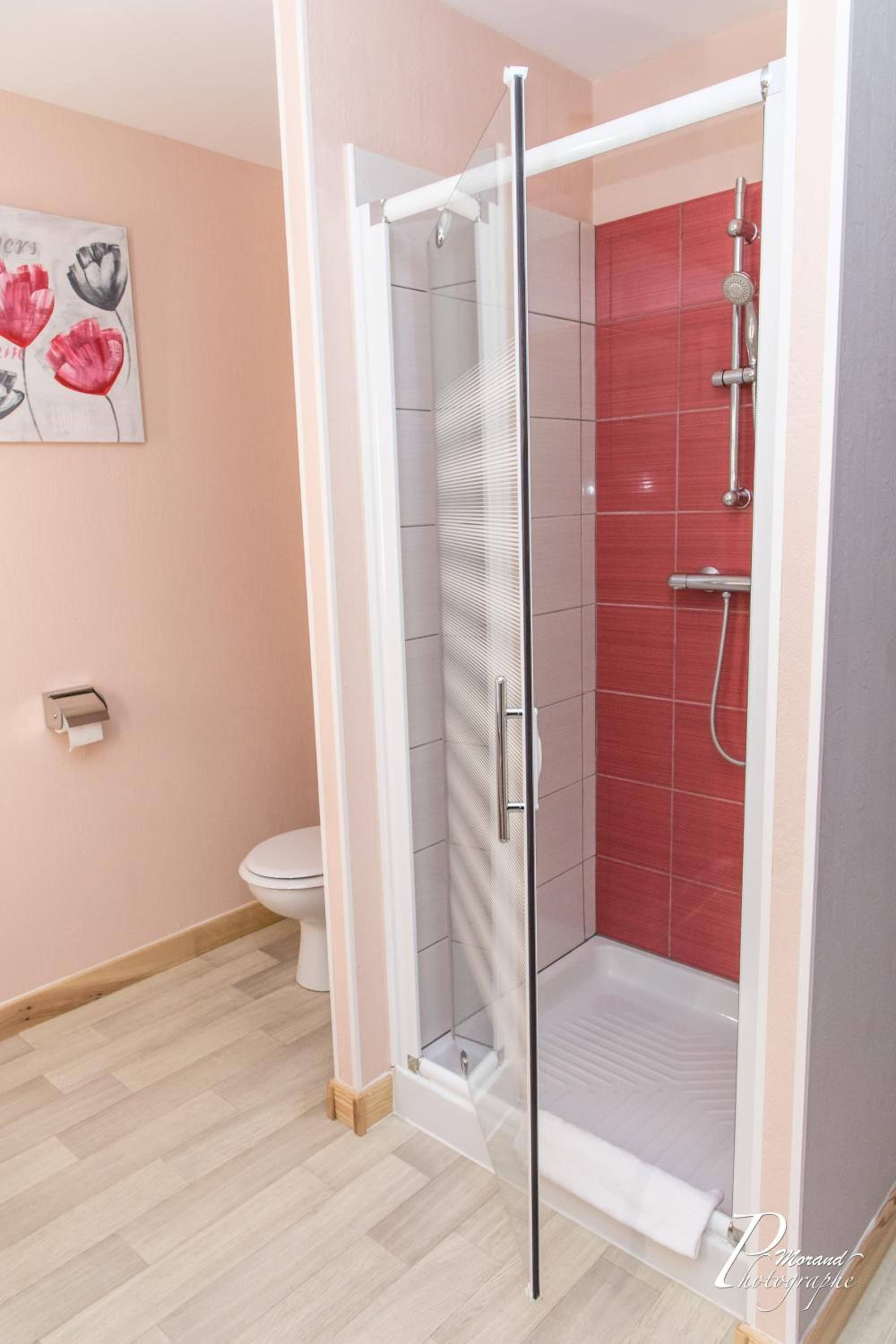 rainfall showerhead, hair dryer, towels