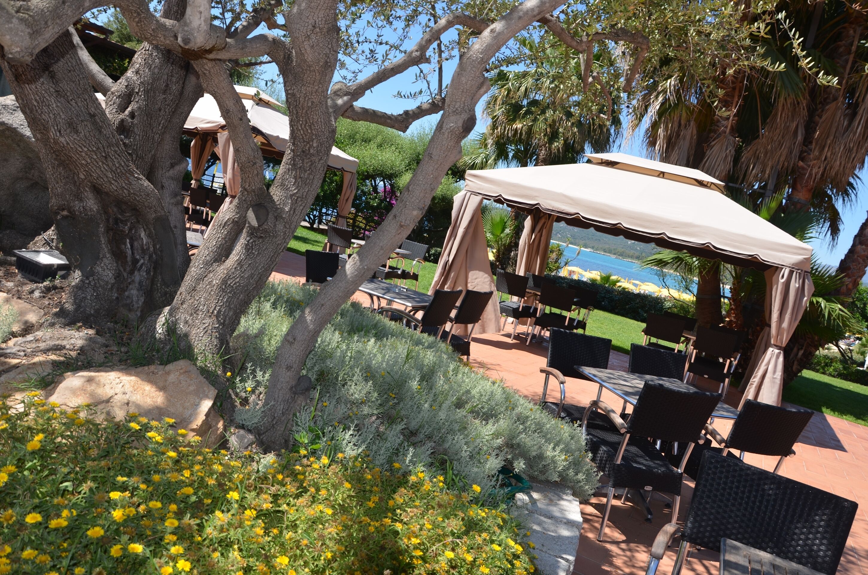 An outdoor seating area with tables and chairs, surrounded by trees and a view of the sea.