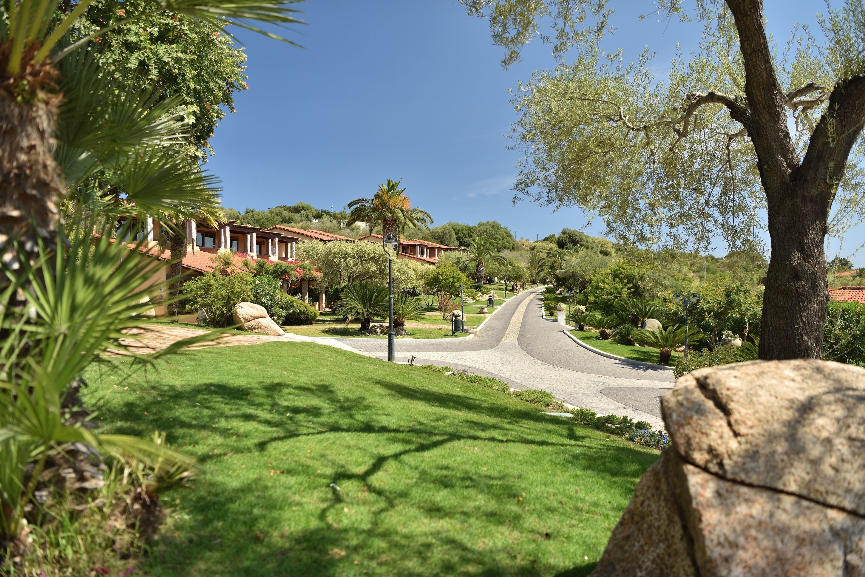 A residential area with a curved driveway leading to a house with a red roof, surrounded by lush greenery and palm trees.