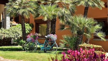 Jardin