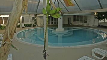 Seasonal outdoor pool, sun loungers