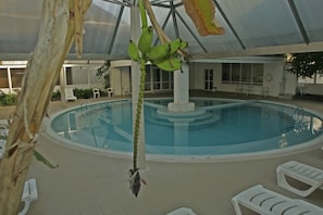 Een seizoensgebonden buitenzwembad en ligstoelen