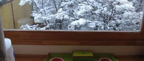 A window with a view of snow-covered trees outside.