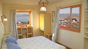 Un dormitorio con cama, escritorio, silla, ventana con vistas y lámpara colgante.
