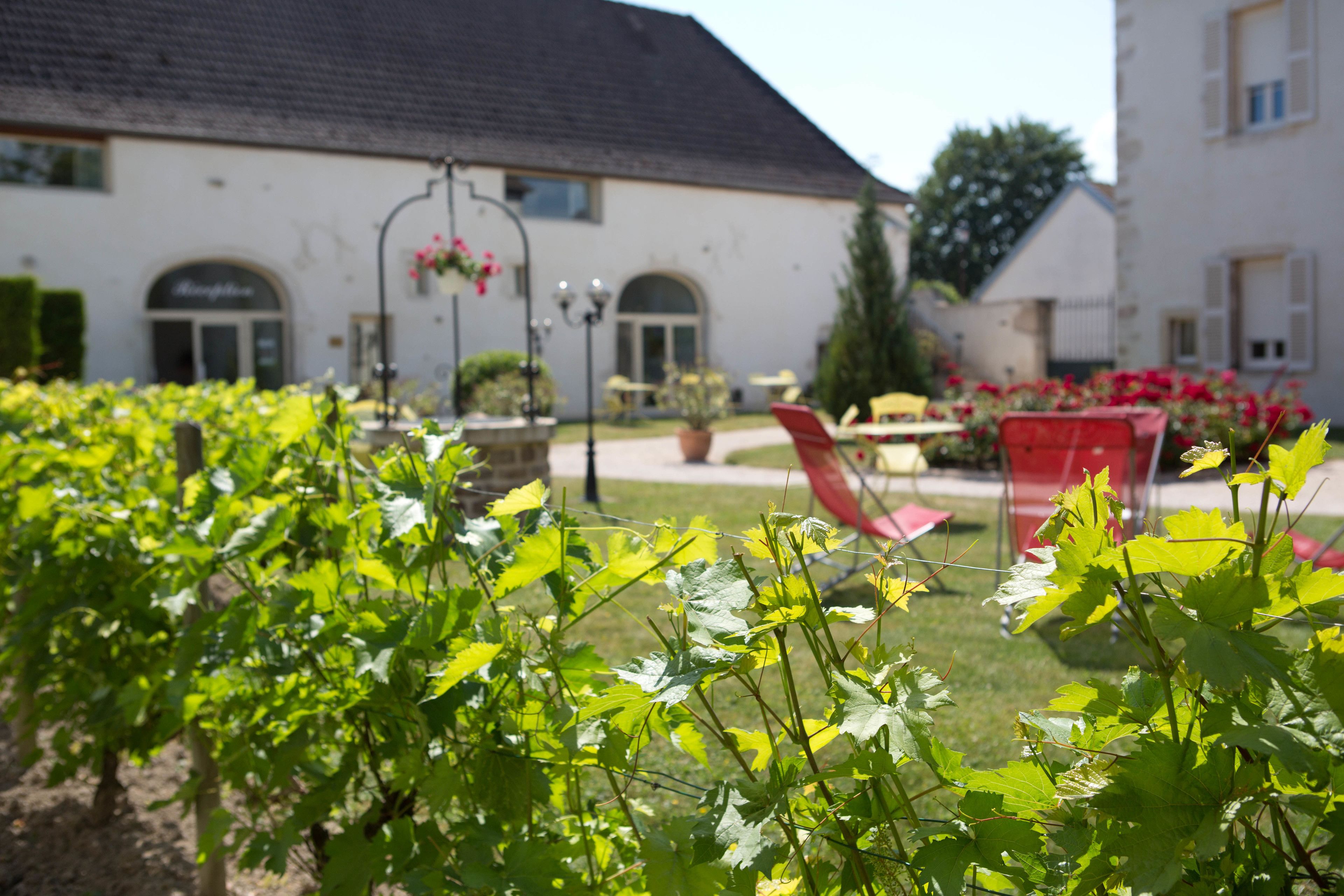 Jardin