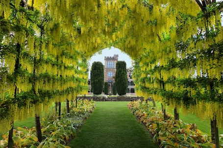 Jardín. Larnach Lodge