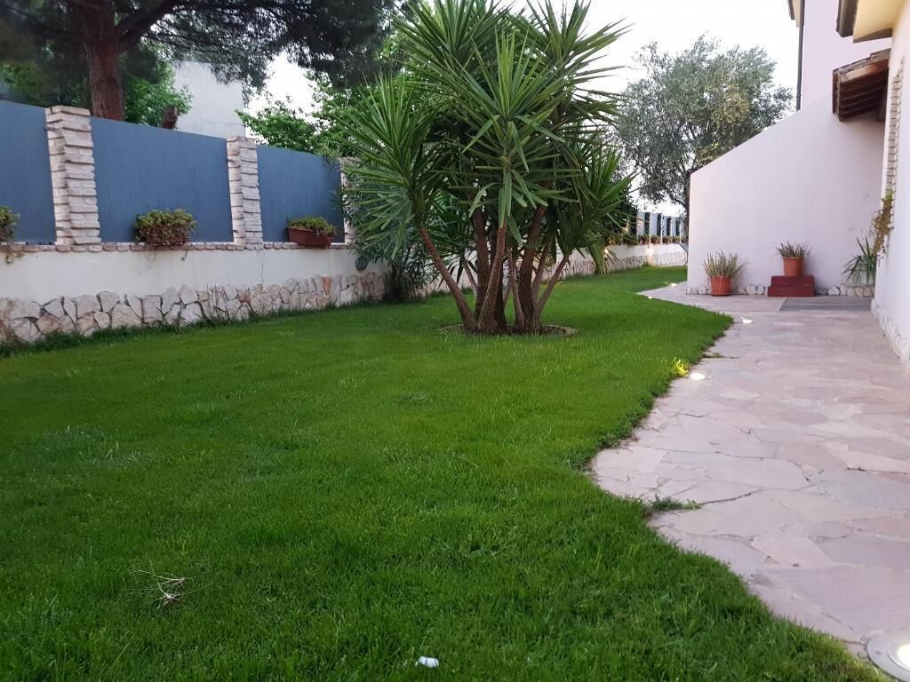 A well-maintained lawn with a stone pathway leading to a building.
