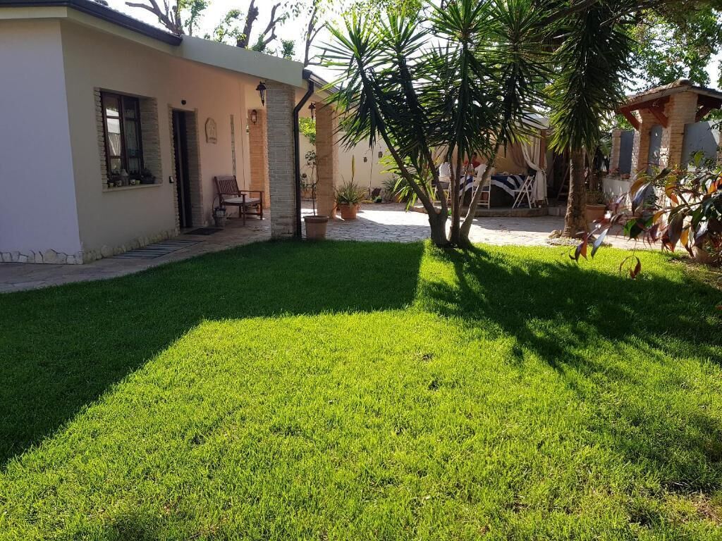 A well-maintained lawn with a patio area, a small building with a door and windows, and a tree in the center.
