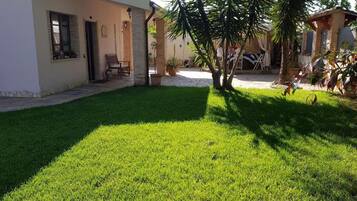 A well-maintained lawn with a patio area, a small building with a door and windows, and a tree in the center.
