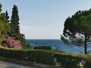 خزنة داخل الغرفة وطراز فريد لكل وحدة ومكتب وستائر تعتيم