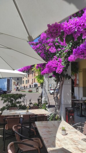 Breakfast, lunch, dinner served; Italian cuisine, al fresco dining  - Hotel Aquavite (Gardone Riviera)